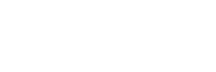 Česká peleta